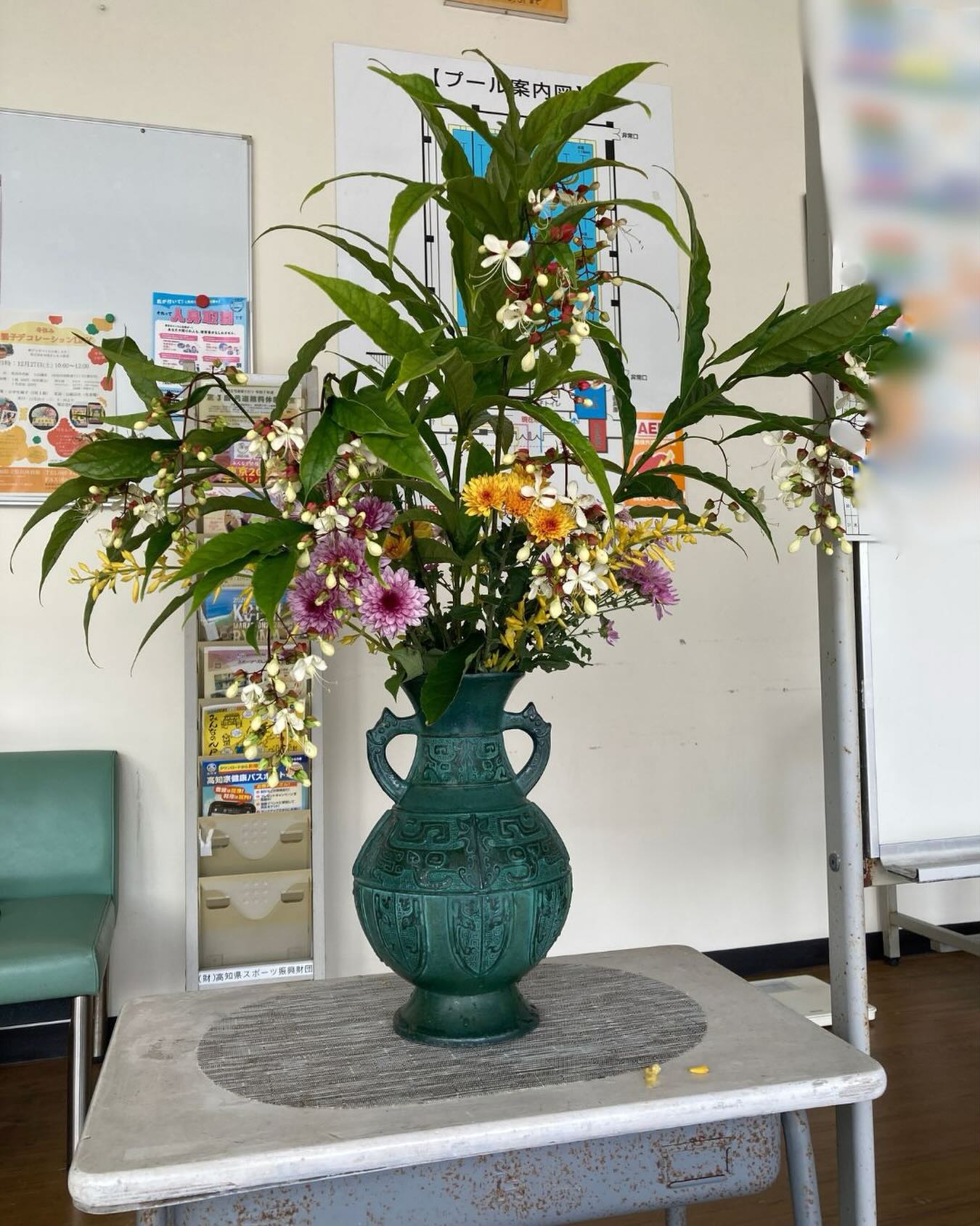 プールの玄関に、利用者さんにお持ちいただき、生けていただいたお花を飾っています。
いつもありがとうございます。

#県民体育館プール #高知県立県民体育館 #高知県 #高知市 #高知県スポーツ振興財団 #ロビーのお花